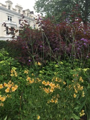 "in the midst of winter, I found there was within me, an invincible summer" Potting shed chat continues here