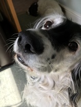 Photo thread anyone?