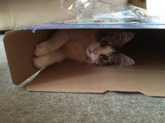 This isn't what I ordered!