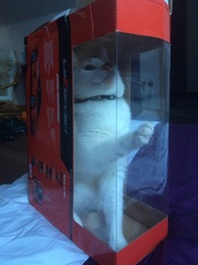 This isn't what I ordered!