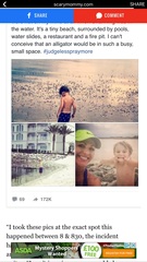 Accident of sorts at Disney in Florida, may be upsetting