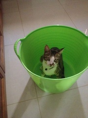 This isn't what I ordered!