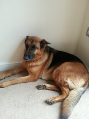 The frugaleers jovially jostle their way into June July and joyfulness