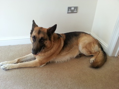 The frugaleers jovially jostle their way into June July and joyfulness