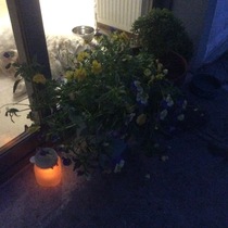 Brave Babes Battle Bus