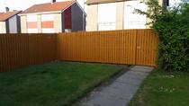 Fence Dispute with Neighbour
