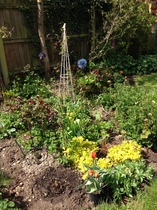 Is mid-June too late to plant anything?