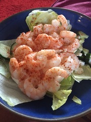 My big fat 800 calorie blood sugar diet diary, all welcome