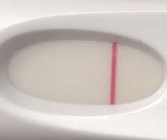 Is there a line?