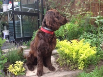 Brave Babes Battle Bus