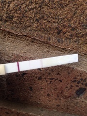 When did YOU get a positive pregnancy test?
