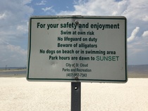 Accident of sorts at Disney in Florida, may be upsetting