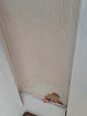 Damp Issues