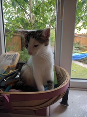This isn't what I ordered!