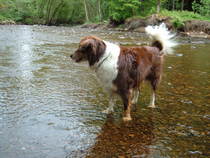 The frugaleers jovially jostle their way into June July and joyfulness