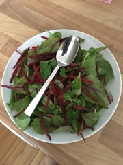 please critique our dinner