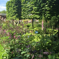 "in the midst of winter, I found there was within me, an invincible summer" Potting shed chat continues here