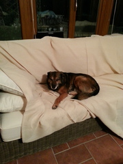 The frugaleers jovially jostle their way into June July and joyfulness