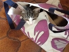 This isn't what I ordered!