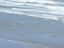 Brave Babes Battle Bus