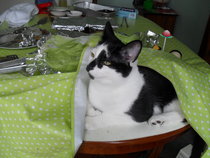 This isn't what I ordered!