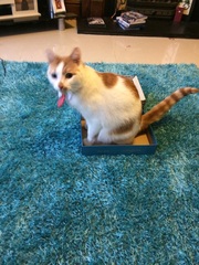 This isn't what I ordered!