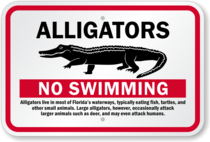 Accident of sorts at Disney in Florida, may be upsetting