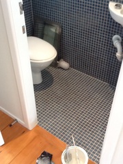 Would you mind showing me a picture of your downstairs toilet, please?