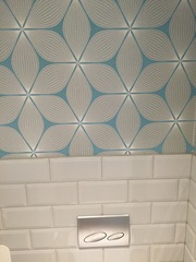 Would you mind showing me a picture of your downstairs toilet, please?