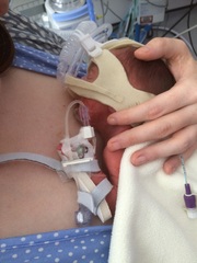 July 2016 Babies (9) - let the babies commence!