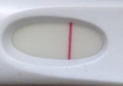 8 dpo on FRER - is there a line?