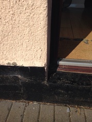 Damp Issues
