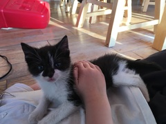 The Fantastic Frugalleers Meander into May.....