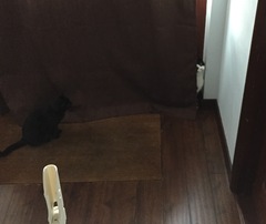 This isn't what I ordered!