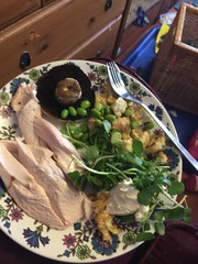 My big fat 800 calorie blood sugar diet diary, all welcome