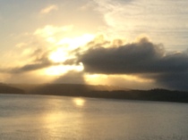 Brave Babes Battle Bus