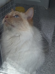 The frugaleers jovially jostle their way into June July and joyfulness