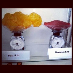 I'm NOT fat
