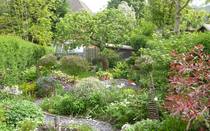 How much Time/money/ effort have you put into your garden?