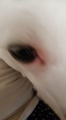 Photo thread anyone?