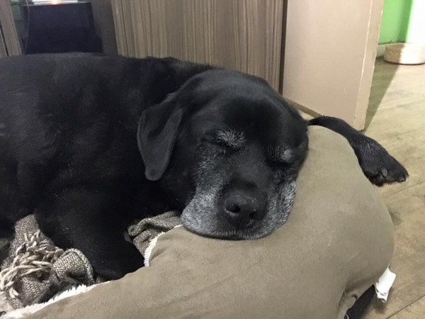 Worried about elderly neighbour