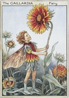 Turning down a party invitation (age 6)