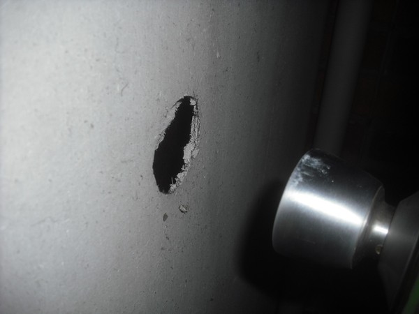 Whats this board type under the plaster? (Pic included)