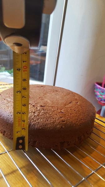 Flat sponge??