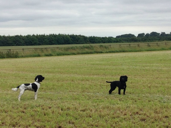 I can't think of a witty title, so here is July's Frugaleer Thread! All welcome.