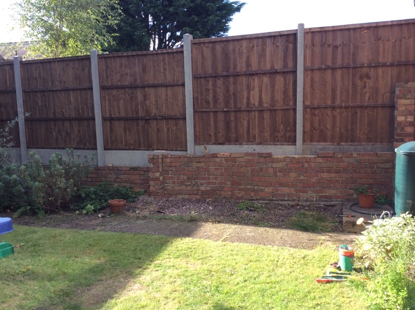Help me plan a side of the garden!