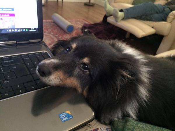 Photo thread anyone?