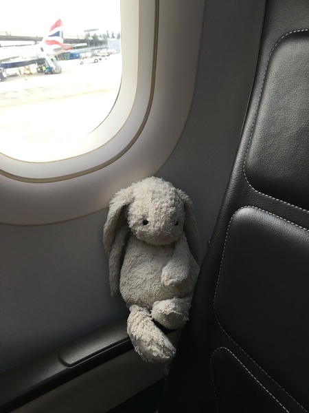 Found a toy bunny outside the House of Commons