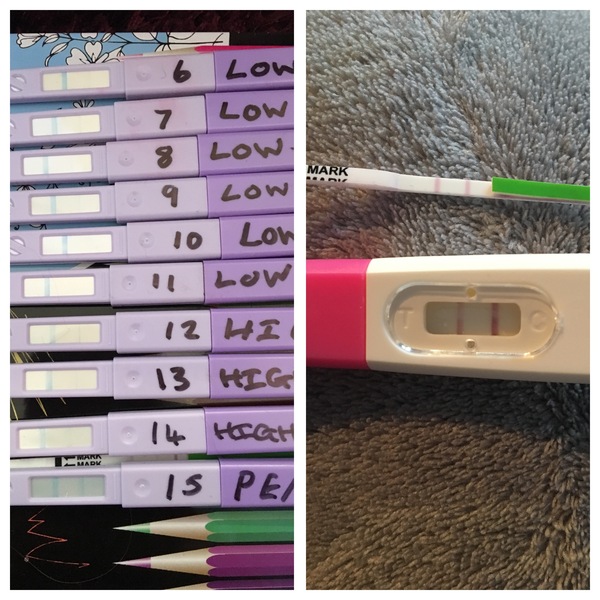 TTC AFTER MISSED MISCARRIAGE
