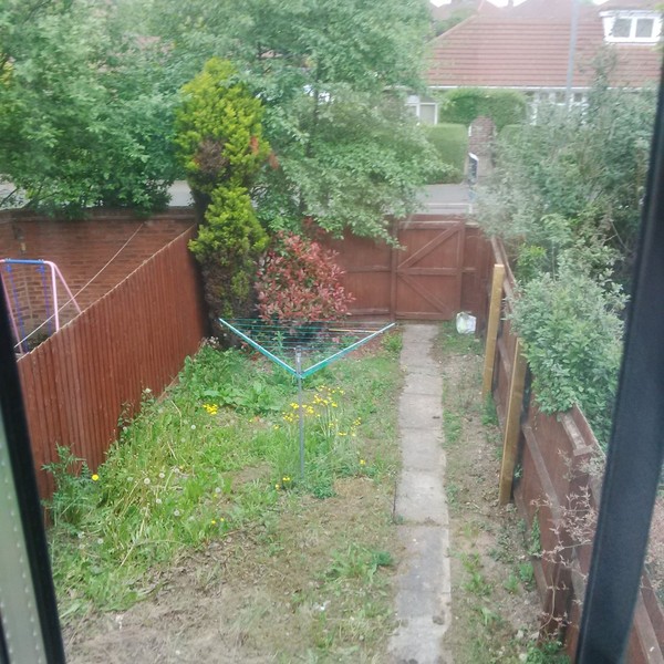 WWYD to this garden